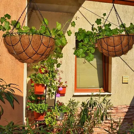 Tatyana 4* Byala (Varna)